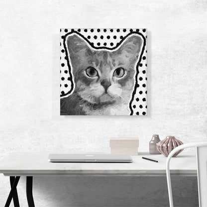 Australian Mist Cat Breed Dots