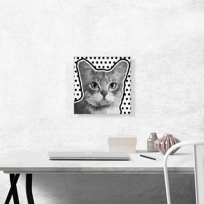 Australian Mist Cat Breed Dots