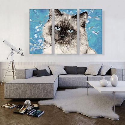 Balinese Cat Breed Serious