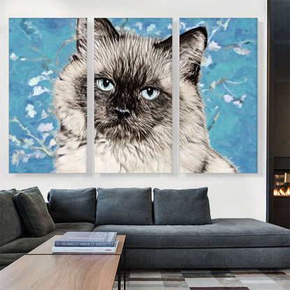 Balinese Cat Breed Serious