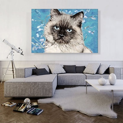 Balinese Cat Breed Serious