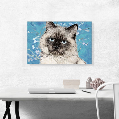 Balinese Cat Breed Serious