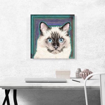 Balinese Cat Breed Teal