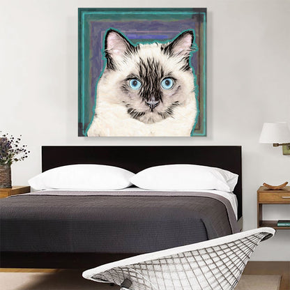 Balinese Cat Breed Teal