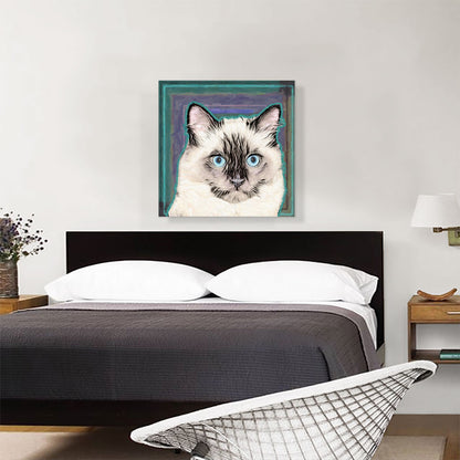 Balinese Cat Breed Teal