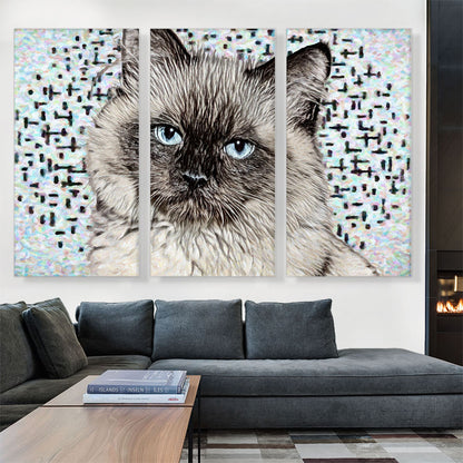 Balinese Cat Breed White