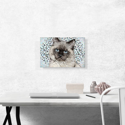 Balinese Cat Breed White