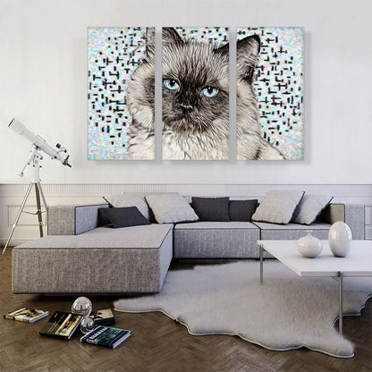 Balinese Cat Breed White