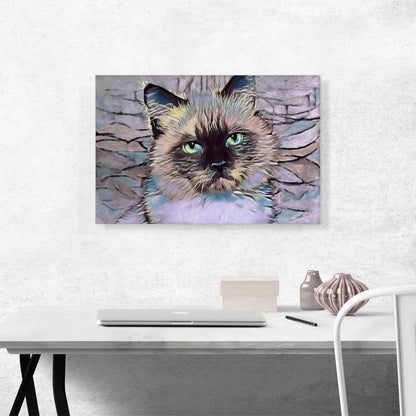 Balinese Cat Breed