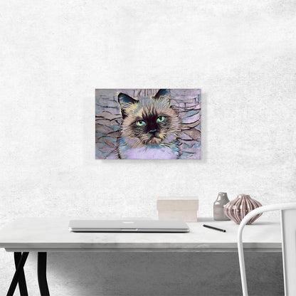 Balinese Cat Breed