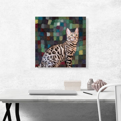 Bengal Cat Breed Dark Squares