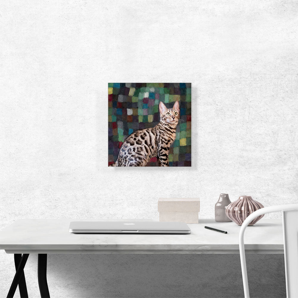 Bengal Cat Breed Dark Squares