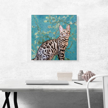 Bengal Cat Breed