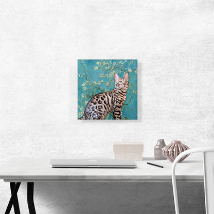 Bengal Cat Breed