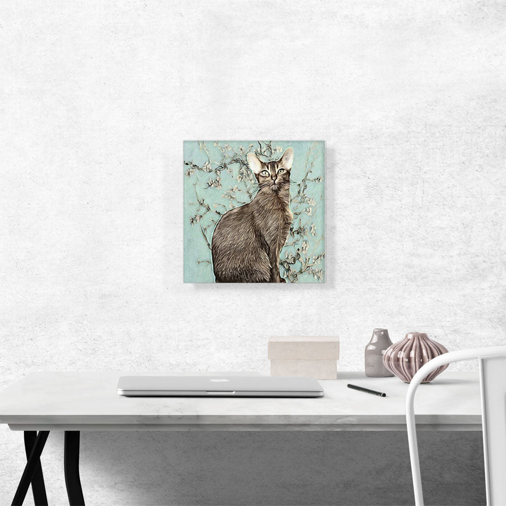 Abyssinian Cat Breed Light Mint