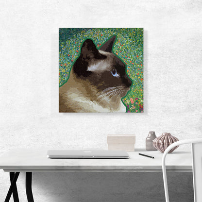 Birman Cat Breed Meadow