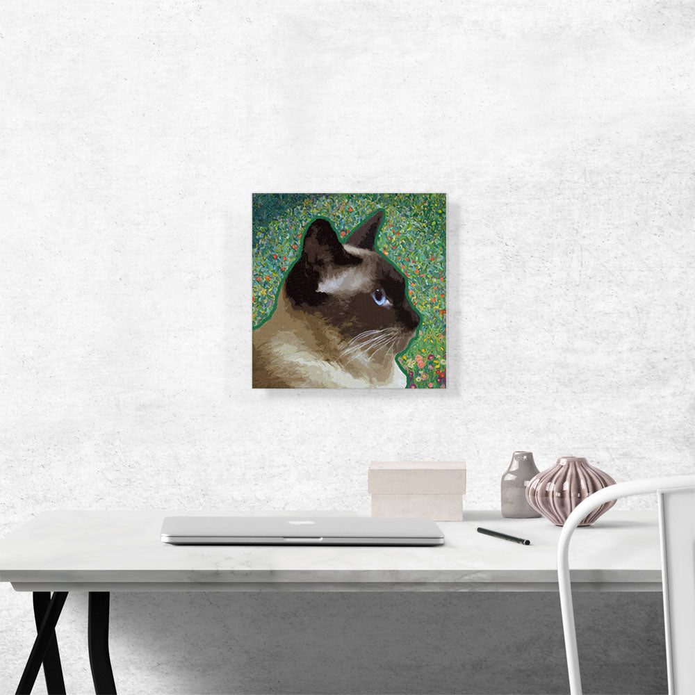 Birman Cat Breed Meadow