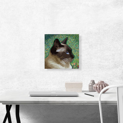 Birman Cat Breed Meadow