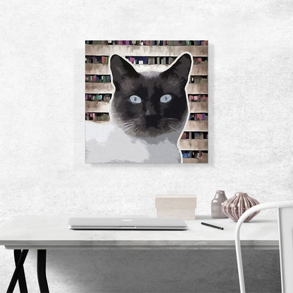 Birman Cat Breed