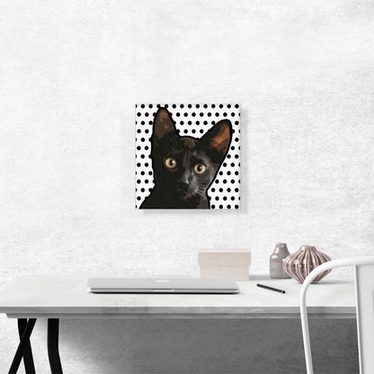 Bombay Cat Breed Dots