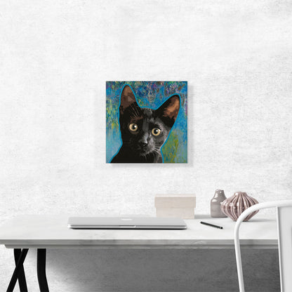 Bombay Cat Breed