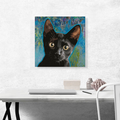 Bombay Cat Breed