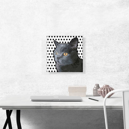 Burmese Cat Breed Dots