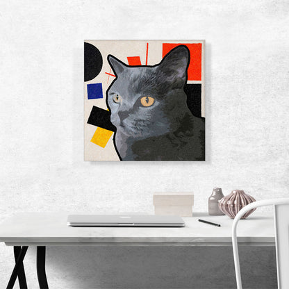 Burmese Cat Breed
