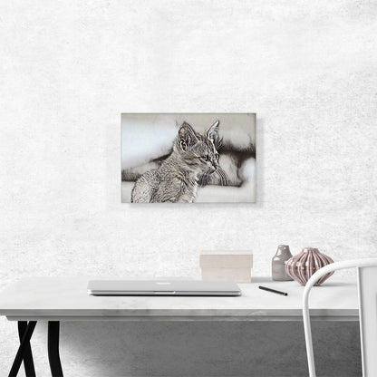 Abyssinian Cat Breed Sketch