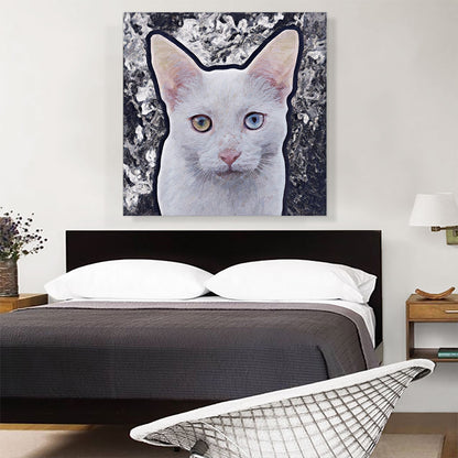 Burmilla Cat Breed Gray