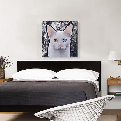 Burmilla Cat Breed Gray