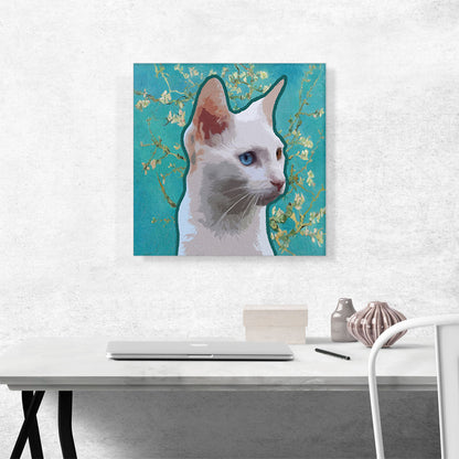Burmilla Cat Breed Teal