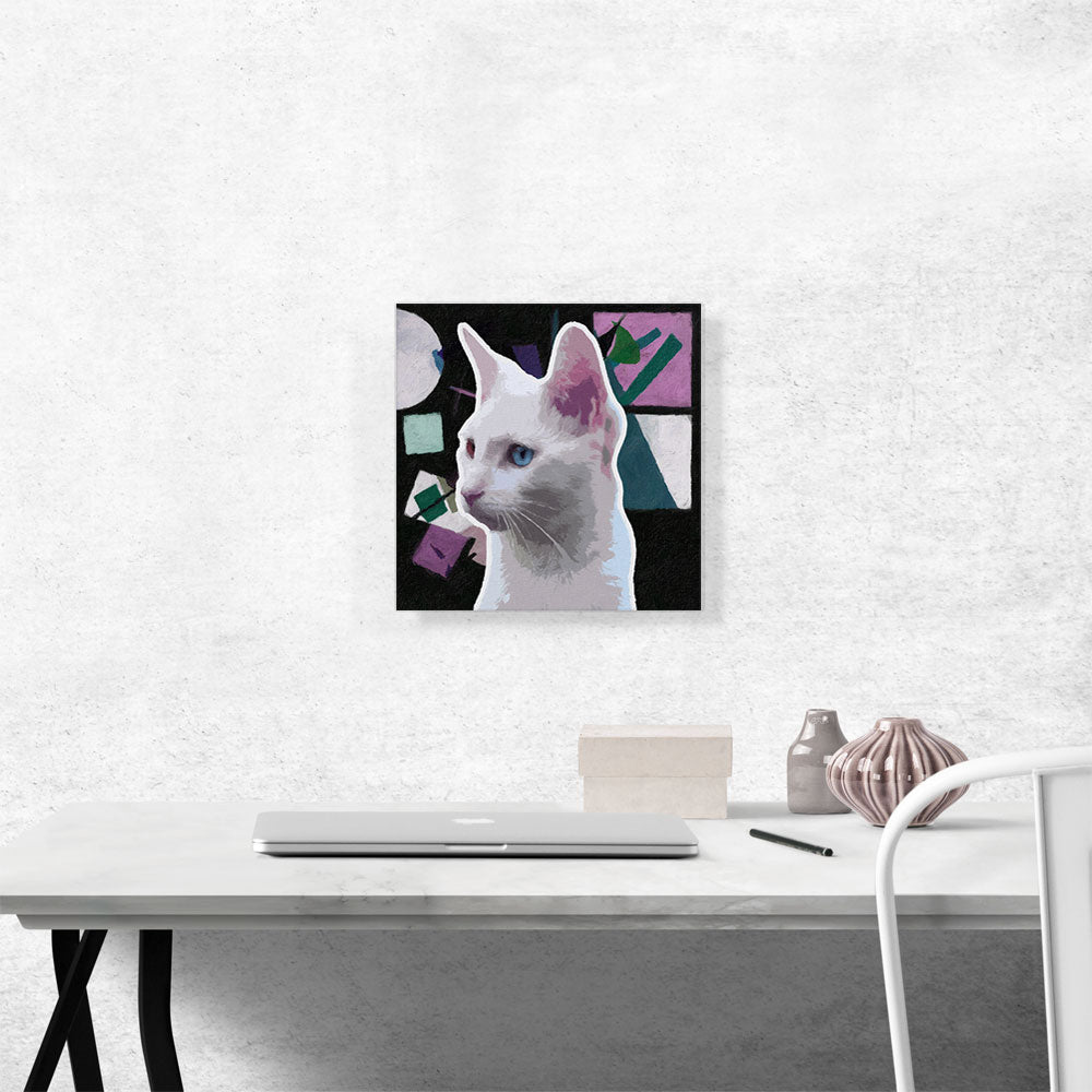 Burmilla Violet Cat Breed