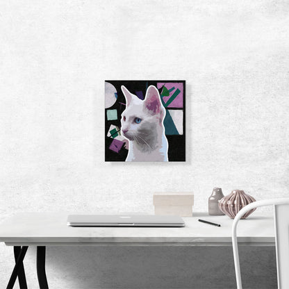 Burmilla Violet Cat Breed