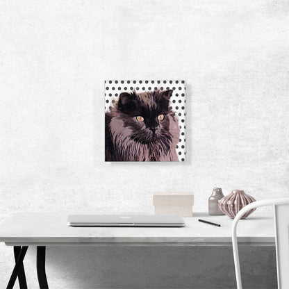 Chantilly-Tiffany Cat Breed Dots
