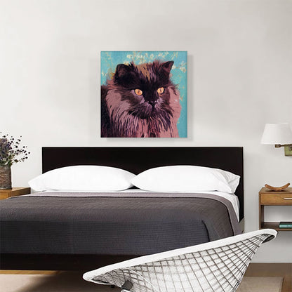 Chantilly-Tiffany Cat Breed