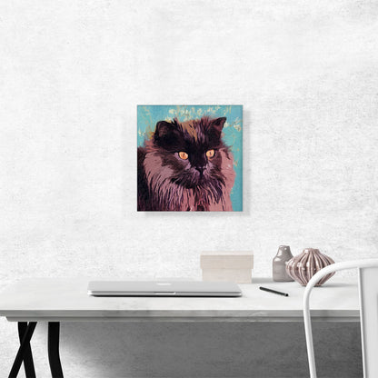 Chantilly-Tiffany Cat Breed