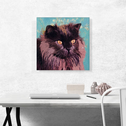 Chantilly-Tiffany Cat Breed