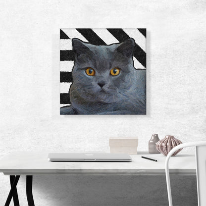 Chartreux Cat Breed Stripes