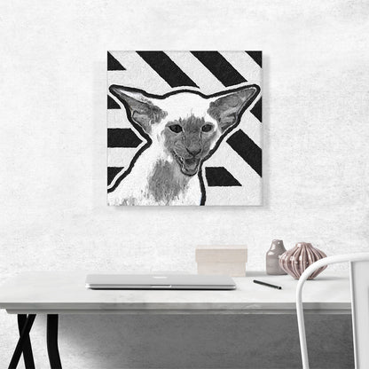 Devon Rex Cat Breed Stripes