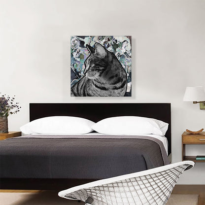 Domestic Cat Breed Gray