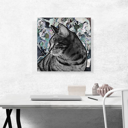 Domestic Cat Breed Gray