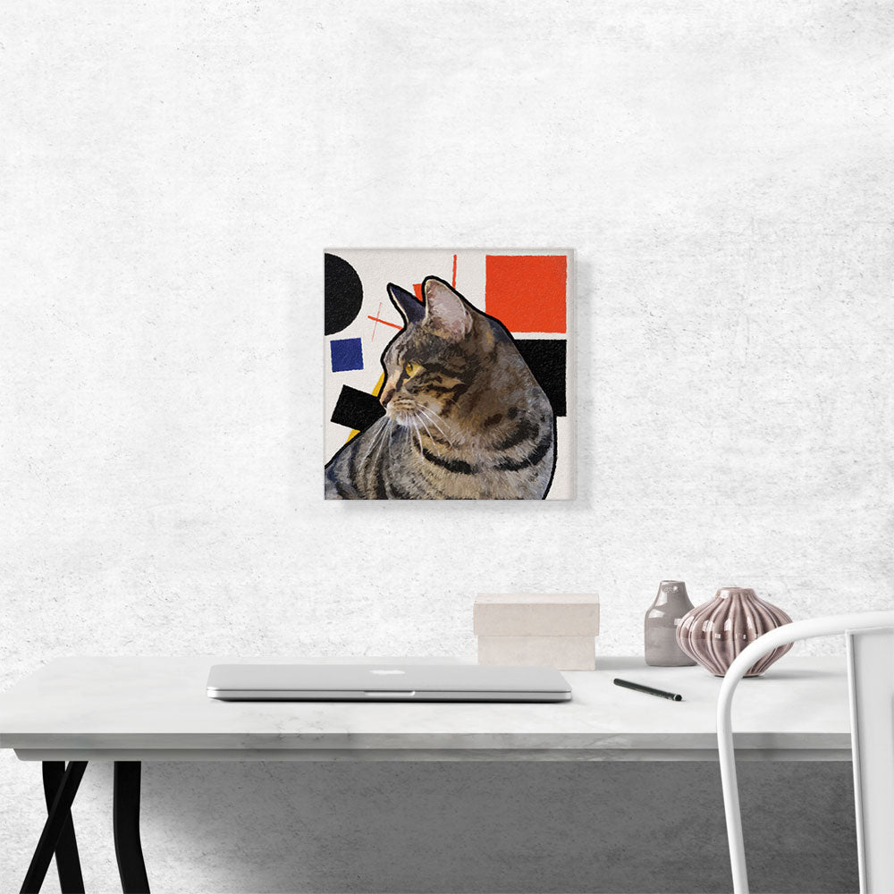 Domestic Cat Breed Modern