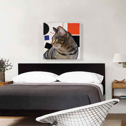 Domestic Cat Breed Modern