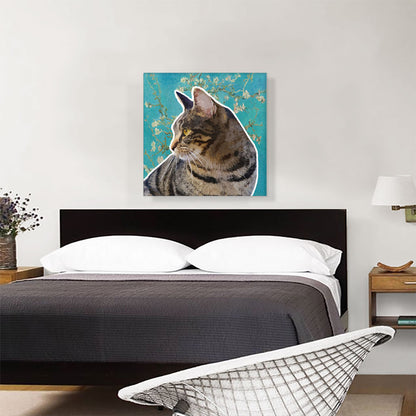 Domestic Cat Breed