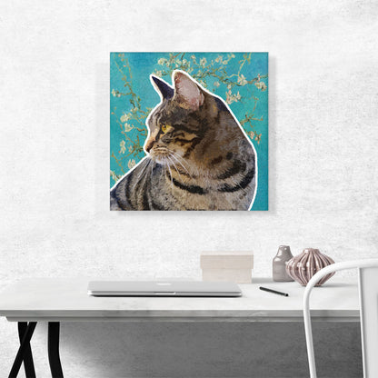 Domestic Cat Breed