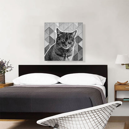 Dragon Li Cat Breed Gray