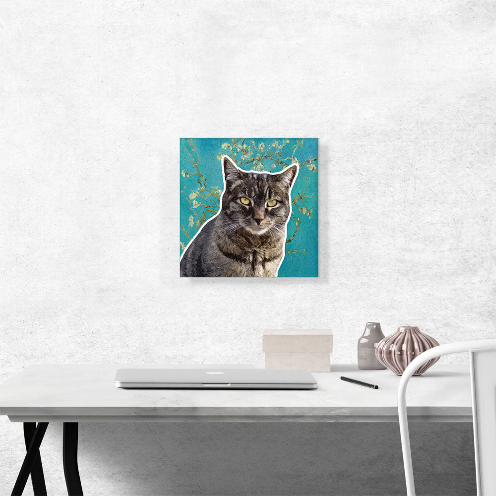 Dragon Li Cat Breed