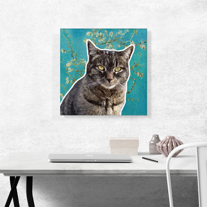Dragon Li Cat Breed