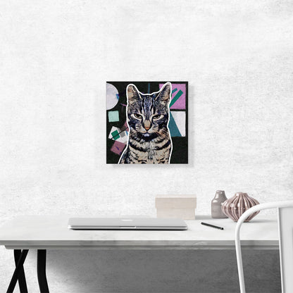 Egyptian Mau Cat Breed Dark